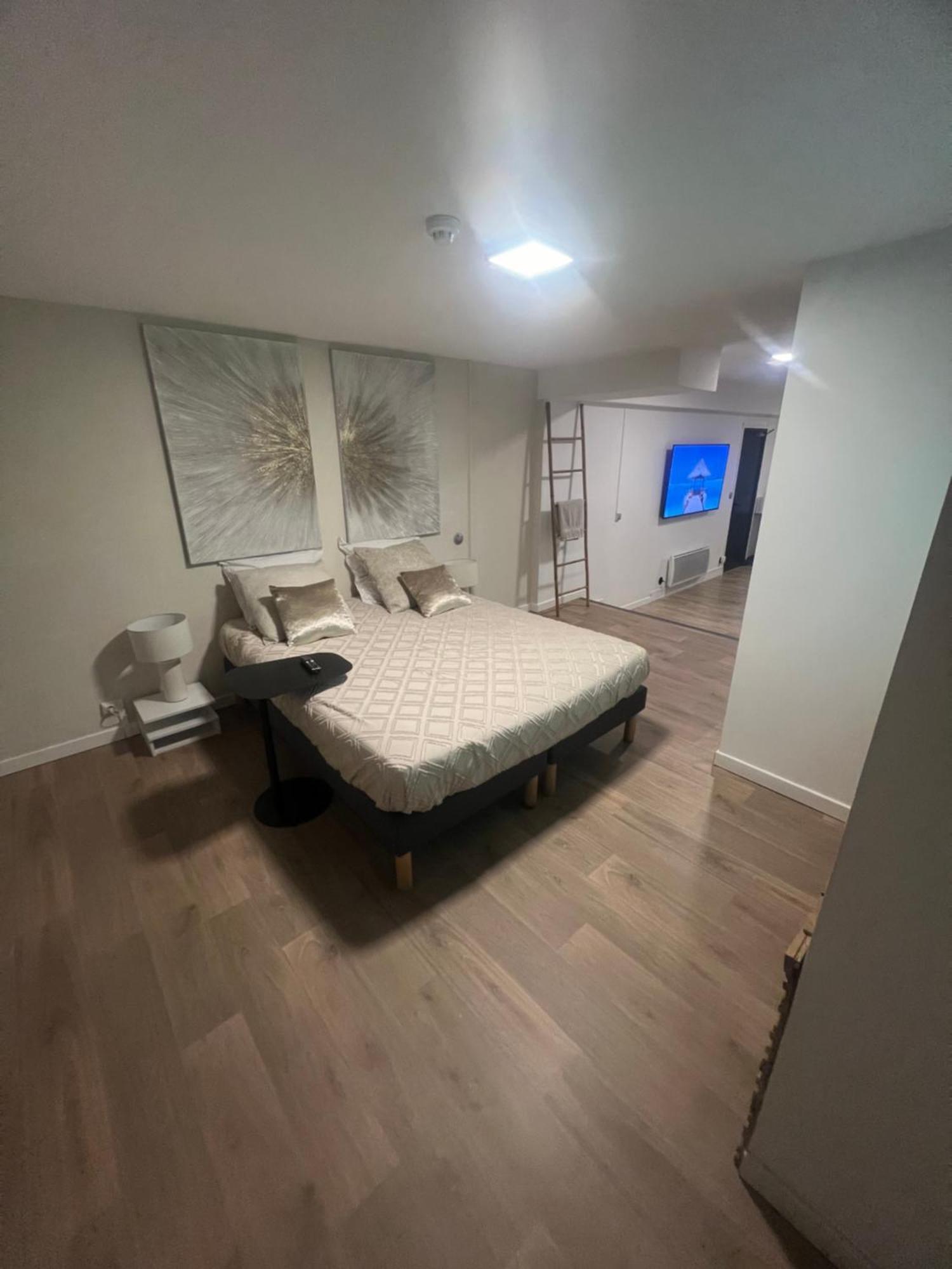 Loft Ravissant 45m2 Jacuzzi Rvb Night 2 Appartement *