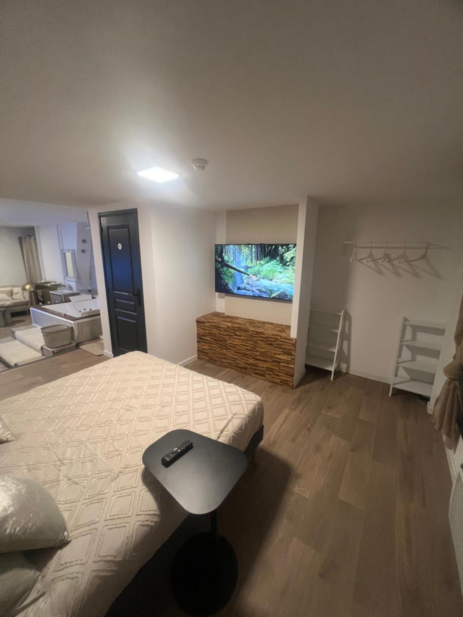 Appartement Loft Ravissant 45m2 Jacuzzi Rvb Night 2 *
